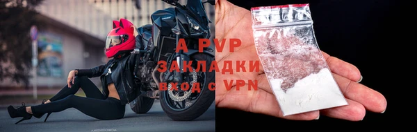амф Абаза