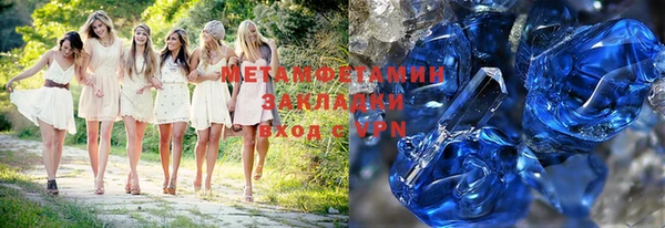 индика Алексин