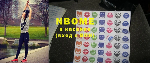 хмурый Алзамай