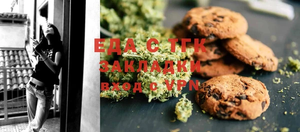 индика Алексин